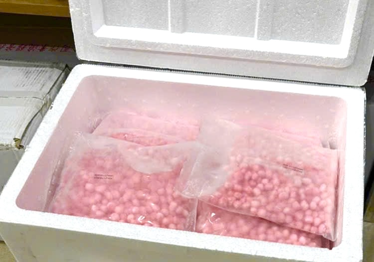 Thạch củ năng đỏ