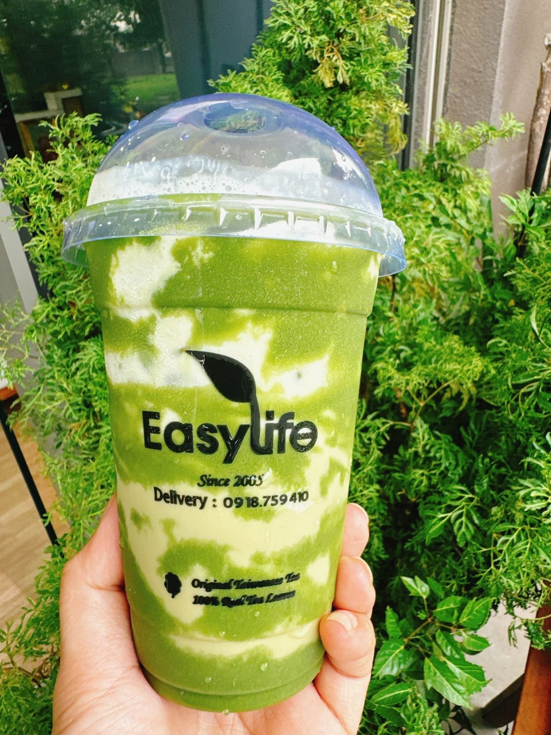 Bột Messy Cup Matcha EasyLife gói 1kg